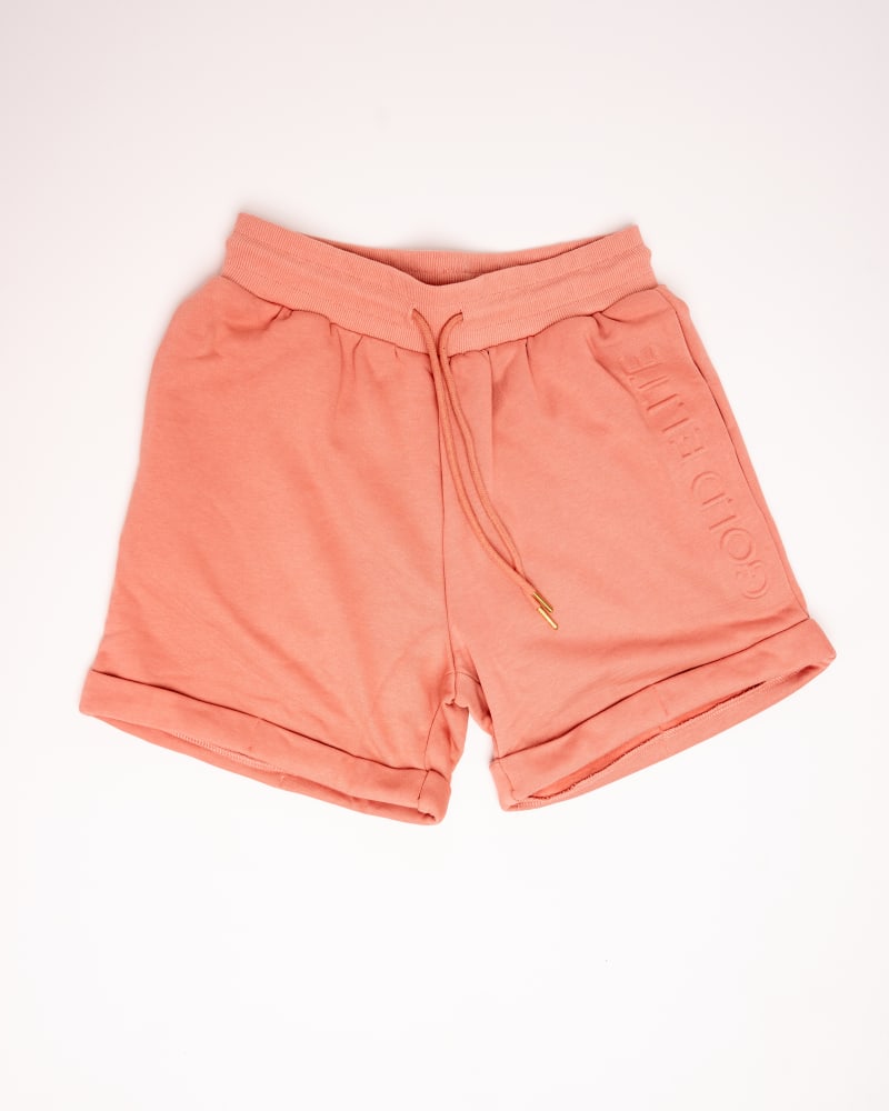 Front of a size XXL GOLD ELITE High Waisted Shorts in Burnt Coral by Gold Elite Apparel. | dia_product_style_image_id:288259